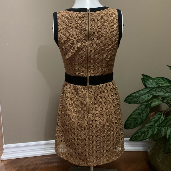 Forever XXI Lace Dress - Picture 2 of 4